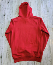 Load image into Gallery viewer, Red Teddy Bear