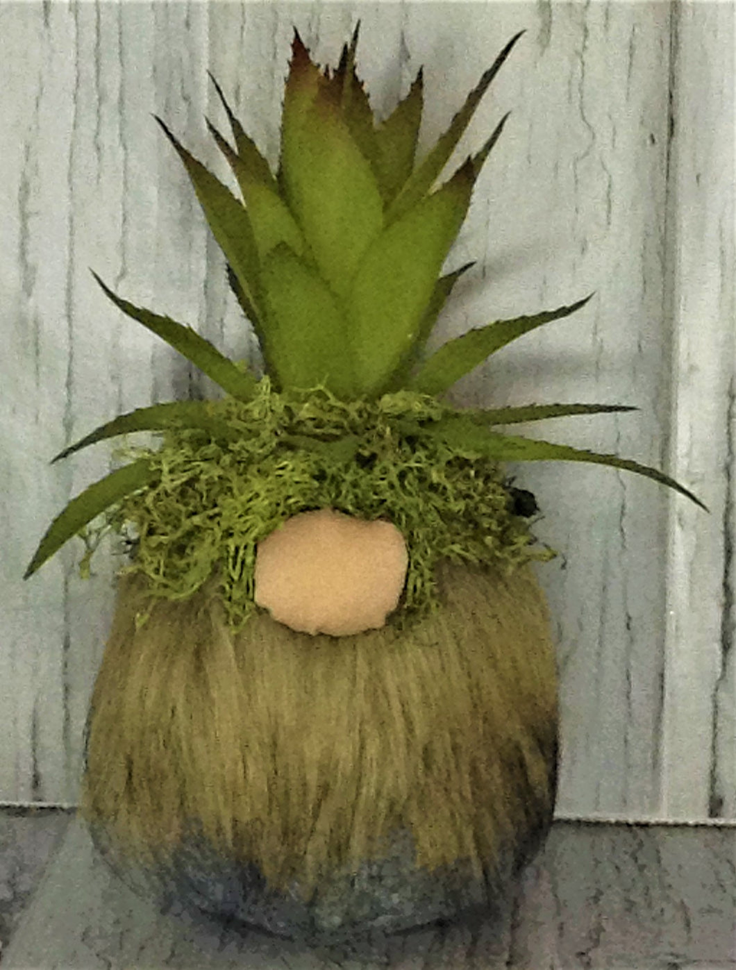 Succulent Gnome 102