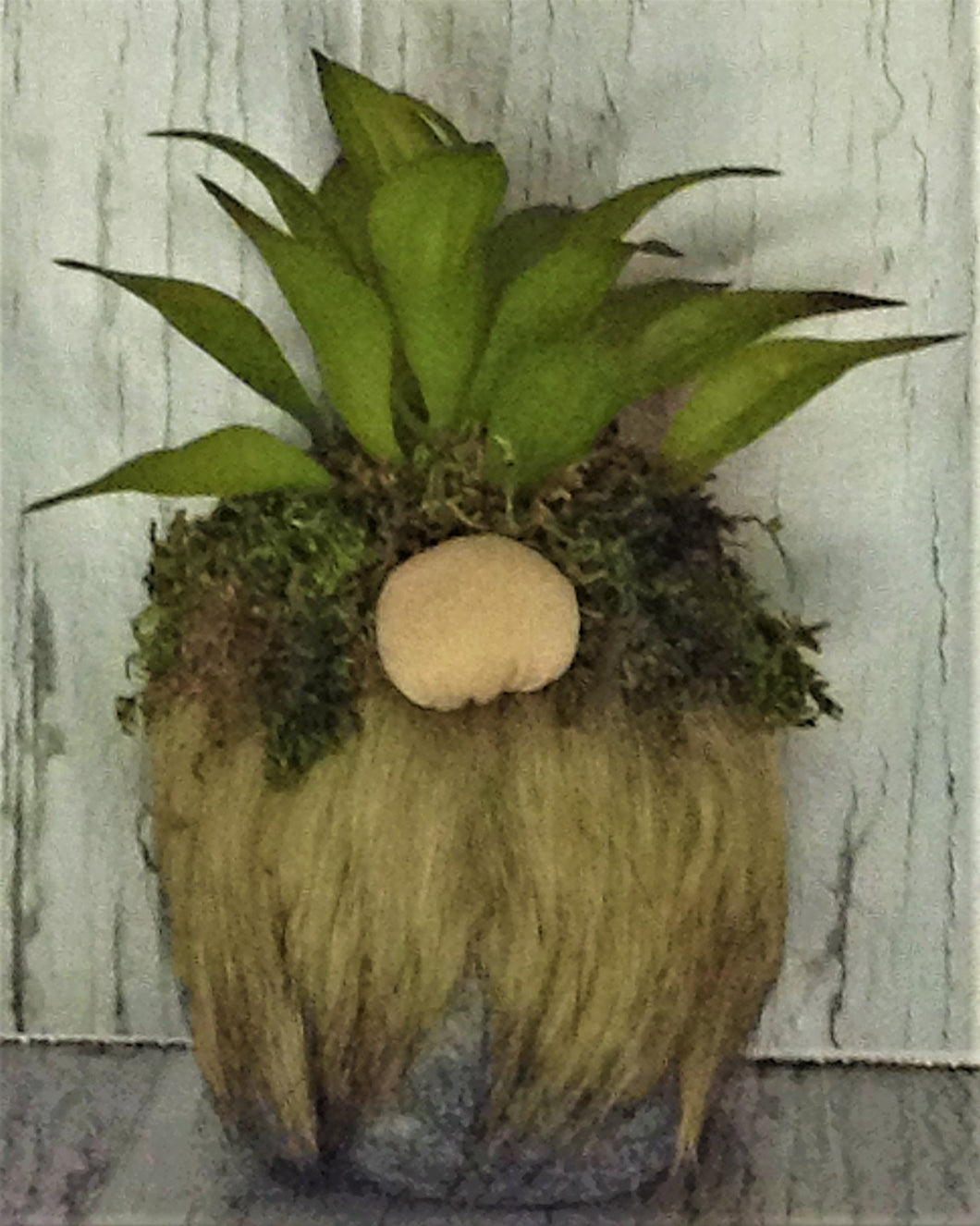 Succulent Gnome 103