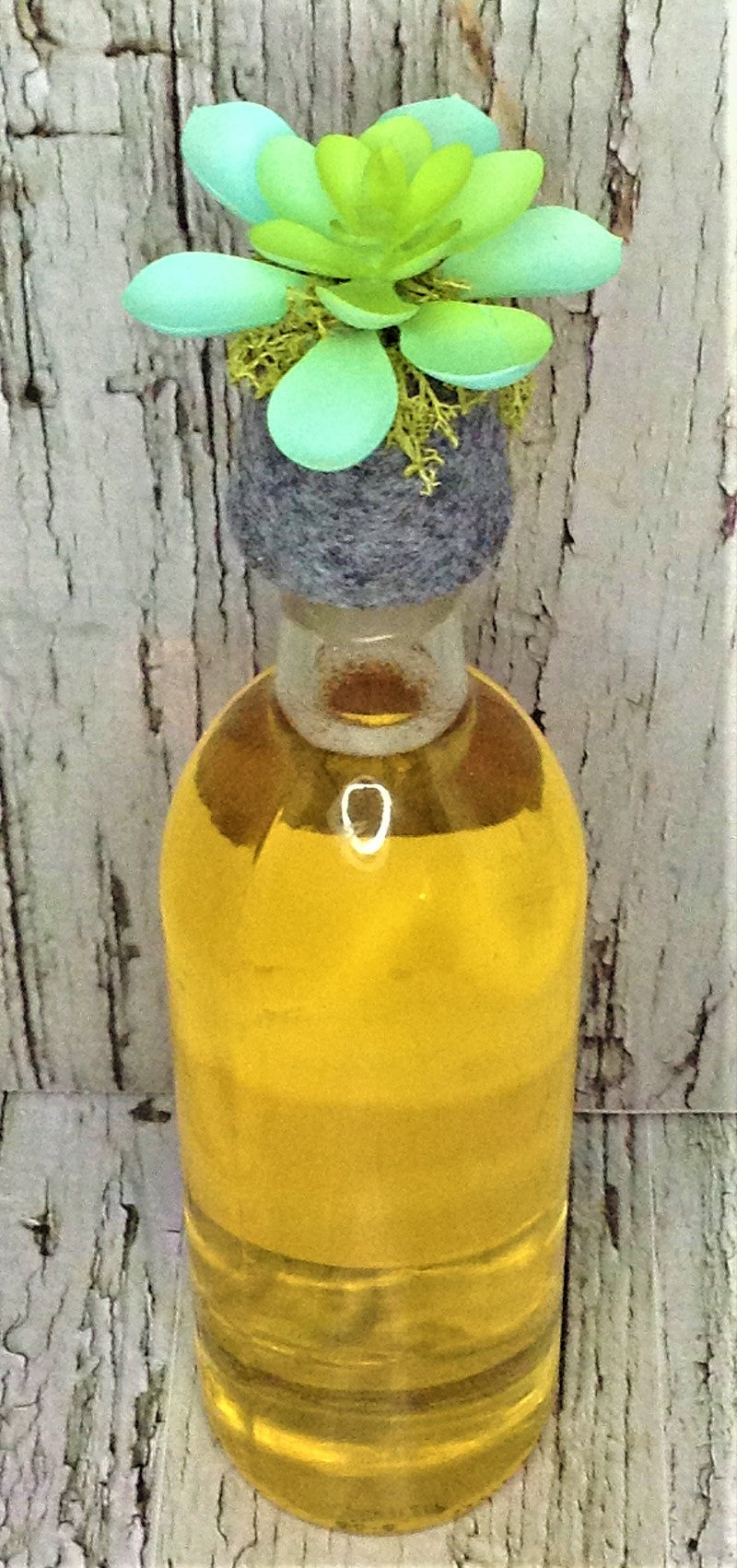 Succulent Wine BottleTopper 101