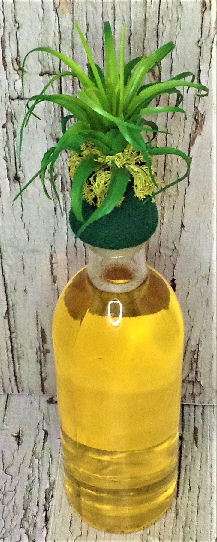 Succulent Wine Bottle Topper 104